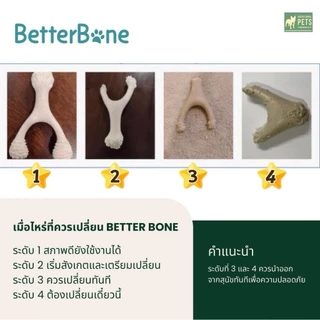 Better Bone Small ของเล่นขัดฟันสุนัข เคี้ยวเพลิน ปลอดภัย วัสดุธรรมชาติ | ไม่บาดเหงือก ไม่อุดตันลำไส้ | สำหรับพันธุ์กลาง
