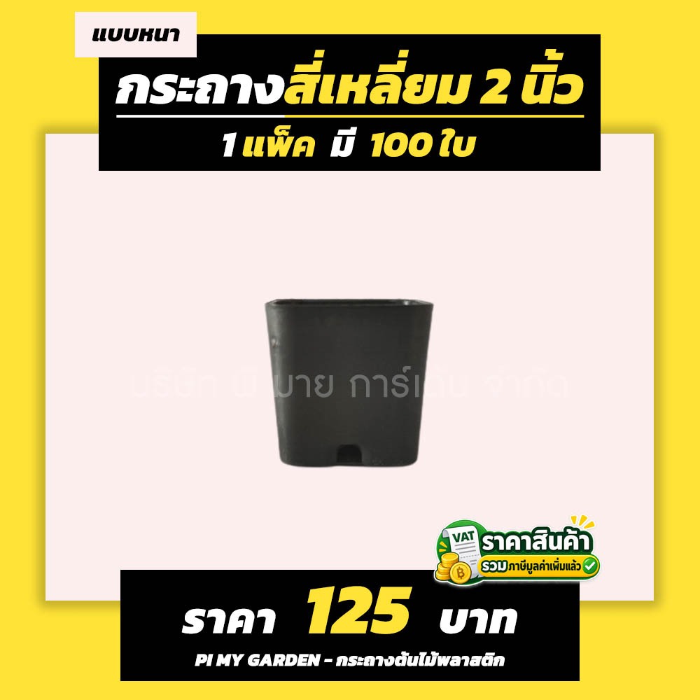 กระถางแคคตัส ทรงสี่เหลี่ยม 2 นิ้ว สีดำ แพ็ค 100 ใบ