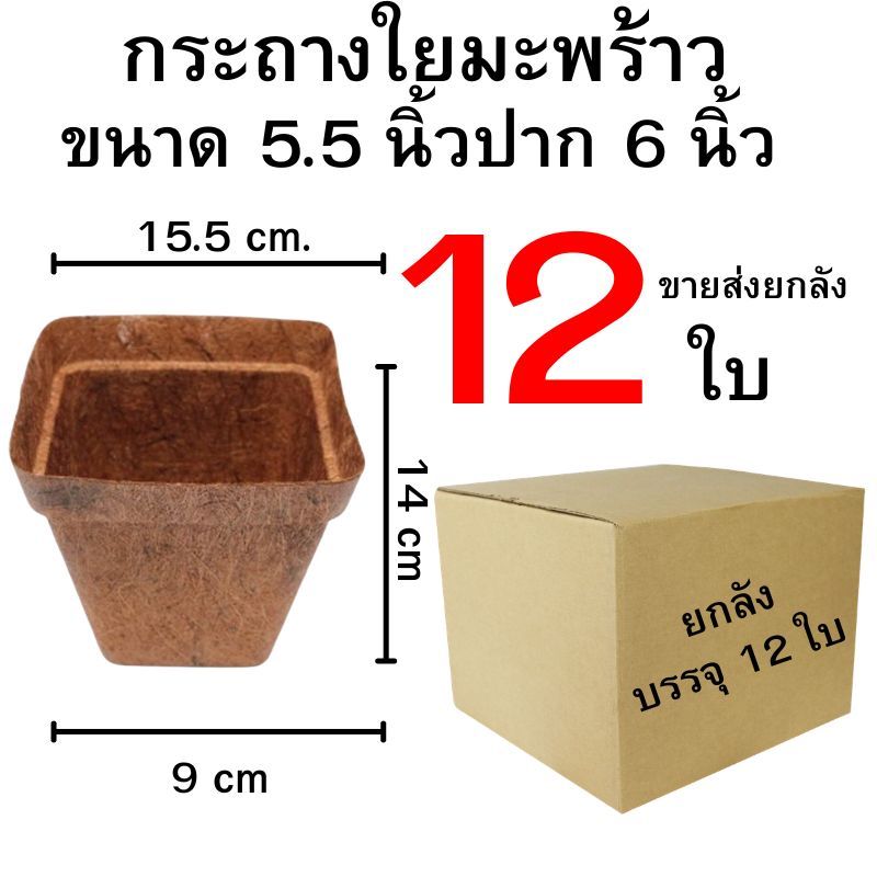 กระถางใยมะพร้าวขนาด 5.5 นิ้วปาก 6 นิ้ว ปลีก/ส่ง 1-12 ใบ