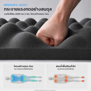 ที่นอน พ็อกเก็ตสปริง ซับ 8 นิ้ว ที่นอนนุ่มๆ นอนหลับ 3.5/4/5/6ฟุต ที่นอนพื้น COD บริการหลังการขาย 5ปี