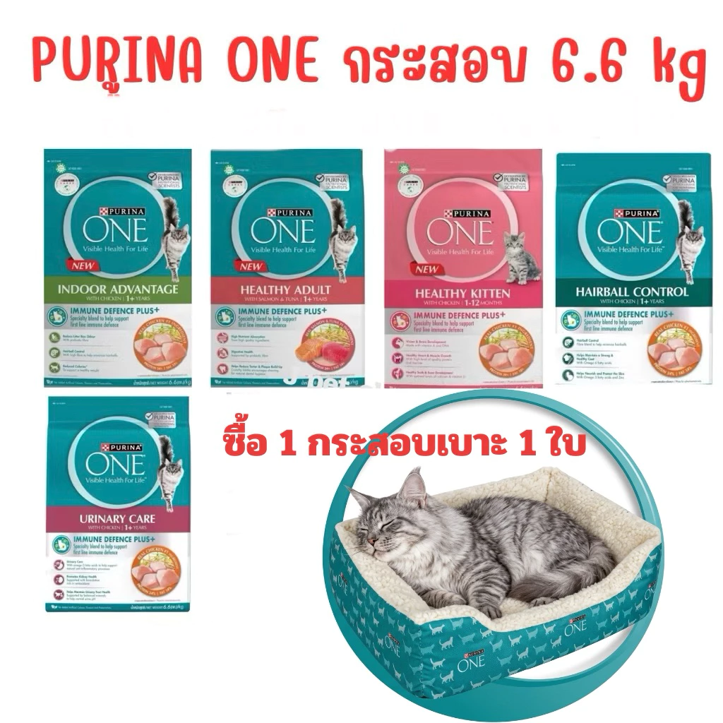 [แถมที่นอนแมว] PURINA ONE เพียวริน่า วัน อาหารแมว ชนิดเม็ด ขนาด 6.6 kg