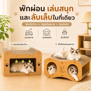 PETWELL ที่ลับเล็บแมว 2 ชั้น พร้อมบ้านแมว ระบายอากาศดี ทนต่อการข่วน ไม่หลุดร่วงง่าย