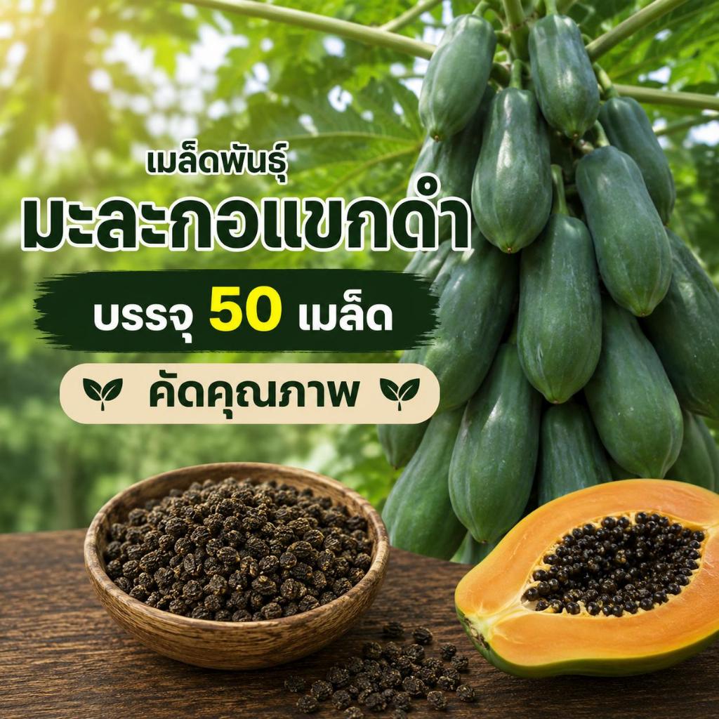 เมล็ดพันธุ์ มะละกอแขกดำ 1ซองมี 50เมล็ด