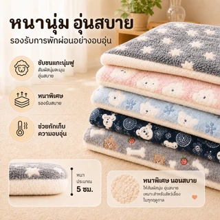 PETWELL พรมนอนสัตว์เลี้ยง เบาะนอนแมวและสุนัข ขนนุ่ม อบอุ่น ซักทำความสะอาดได้ ผ้าฟลานเนล ซับในขนแกะ