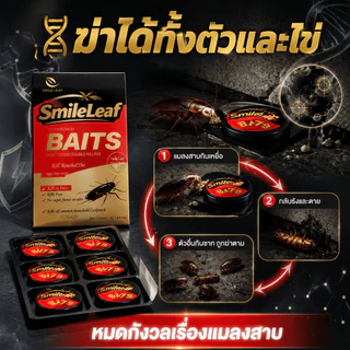[ แนะนํา]💀MDB ล่อแมลงสาบ 💀ได้ผล100% กำจัดแมลงสาบอย่างถาวร ที่ดักแมลงสาบ กับดักแมลงสาบ ยาฆ่าแมลงสาบ 1คืนฆ่าตายหมด