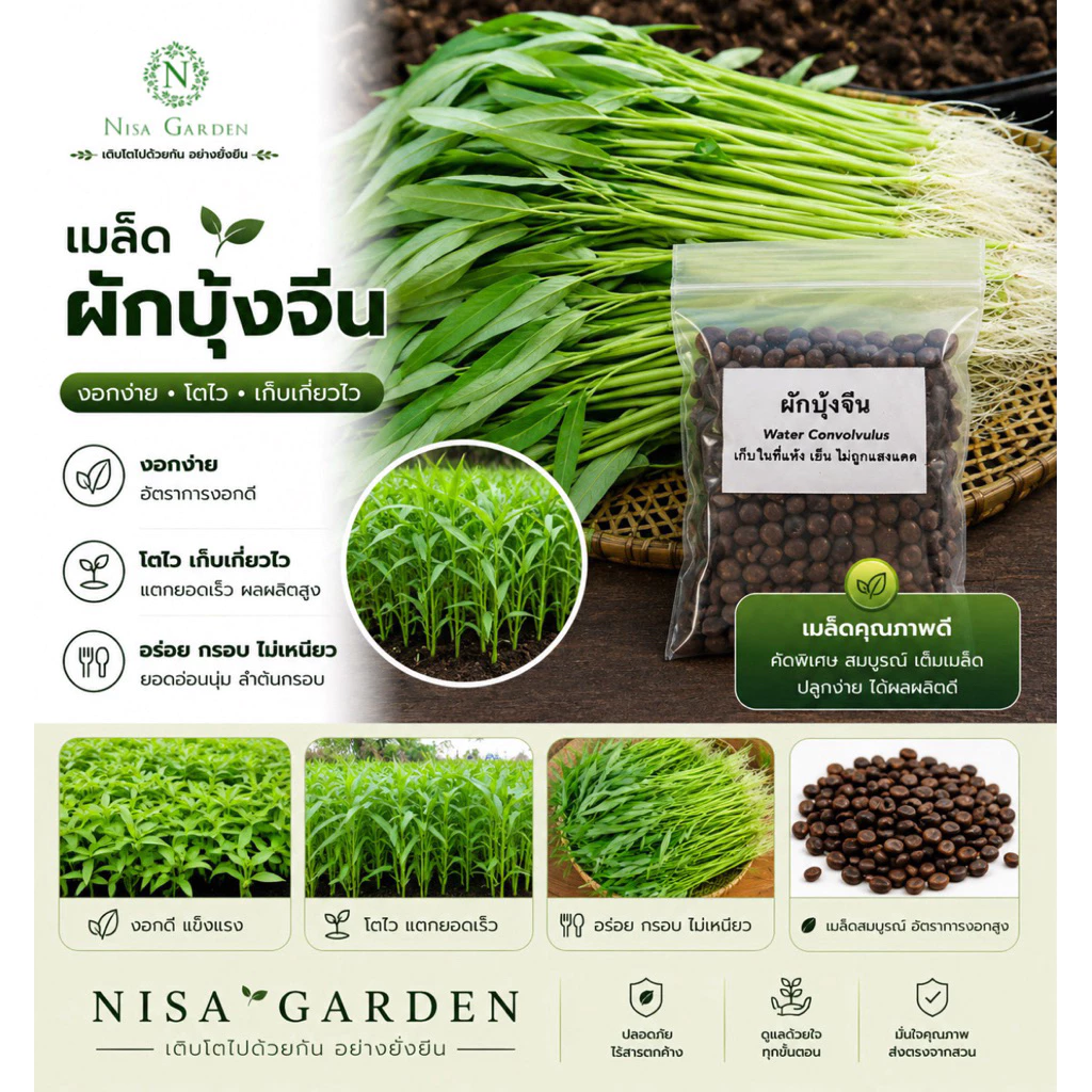 Nisa Garden เมล็ดพันธุ์ ผักบุ้งจีน งอกง่าย โตเร็ว 🔥 ซื้อ 5 แถมฟรี 1 🔥