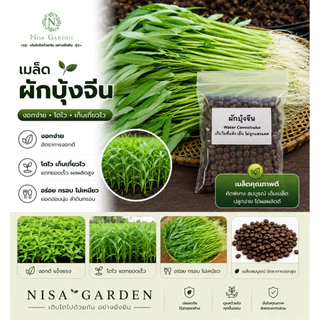 Nisa Garden เมล็ดพันธุ์ ผักบุ้งจีน งอกง่าย โตเร็ว 🔥 ซื้อ 5 แถมฟรี 1 🔥