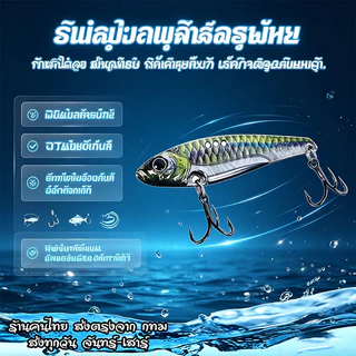 5pcs กระดี่เหล็กลายลูกปลา 10 กรัม จัดส่งไว ถึงภายใน 1-2 วัน