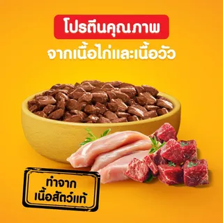 [สุดคุ้ม 120 ซอง] PEDIGREE เพดดิกรี อาหารหมาเปียกแบบซอง สุนัขโตและลูกสุนัข สูตรเกรวี่/เนื้อสัตว์บด เลือกรสชาติได้ 130ก.