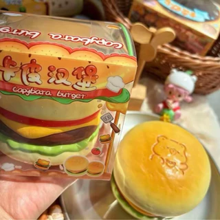 พร้อมส่งที่ไทย🇹🇭สกุชชี่แบรนด์แท้ Hachimi Chameleon Mido Kiibru Moozy Sweetbuns ฮาชิมิ ชาเมล่อน มิโดะ คิบุ มูซี่ สกุชชี่