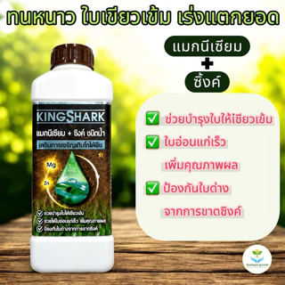 KINGSHARK ปุ๋ย แมกนีเซียม + ซิ้งค์ (เร่งแตกยอด ใบเขียวเข้ม) ขนาด 1 ลิตร (S1)