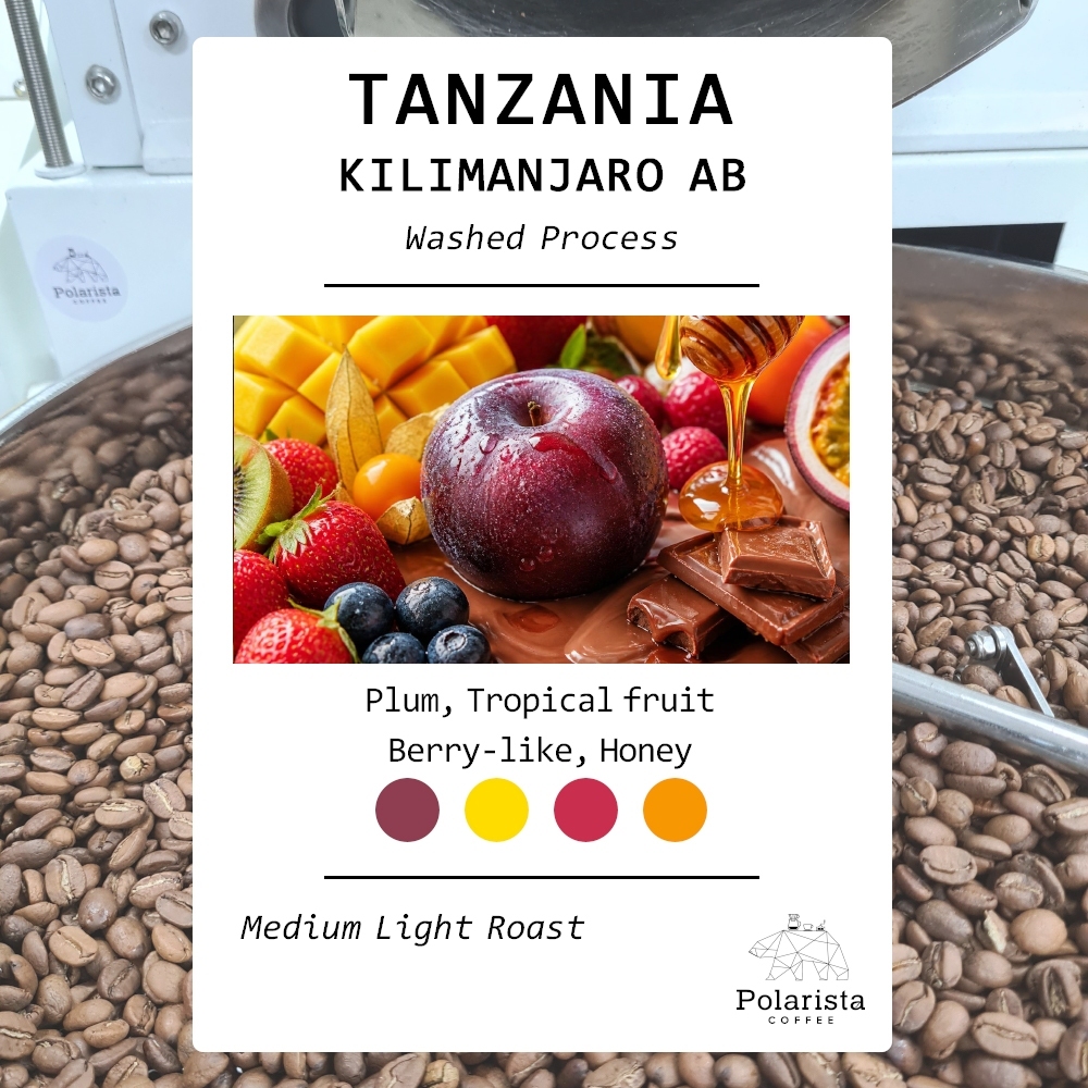 เมล็ดกาแฟคั่ว Tanzania Kilimanjaro AB Washed process roasted coffee 200g