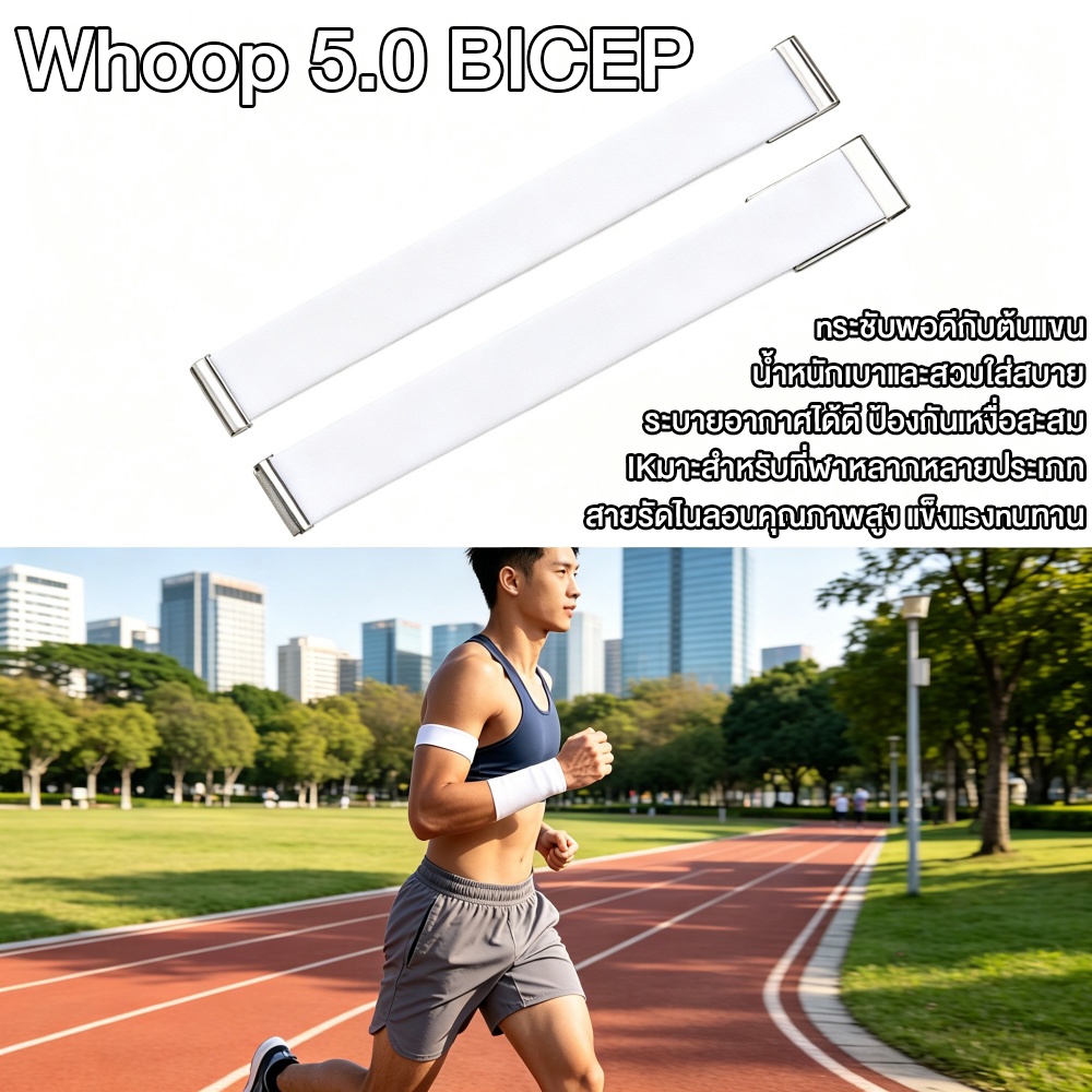 Bicep Band แบบรัดต้นแขน  ยืดหยุ่น Bicep Band เหงื่อทนปรับไนลอนกีฬา Band พรีเมี่ยม Cozy ถัก