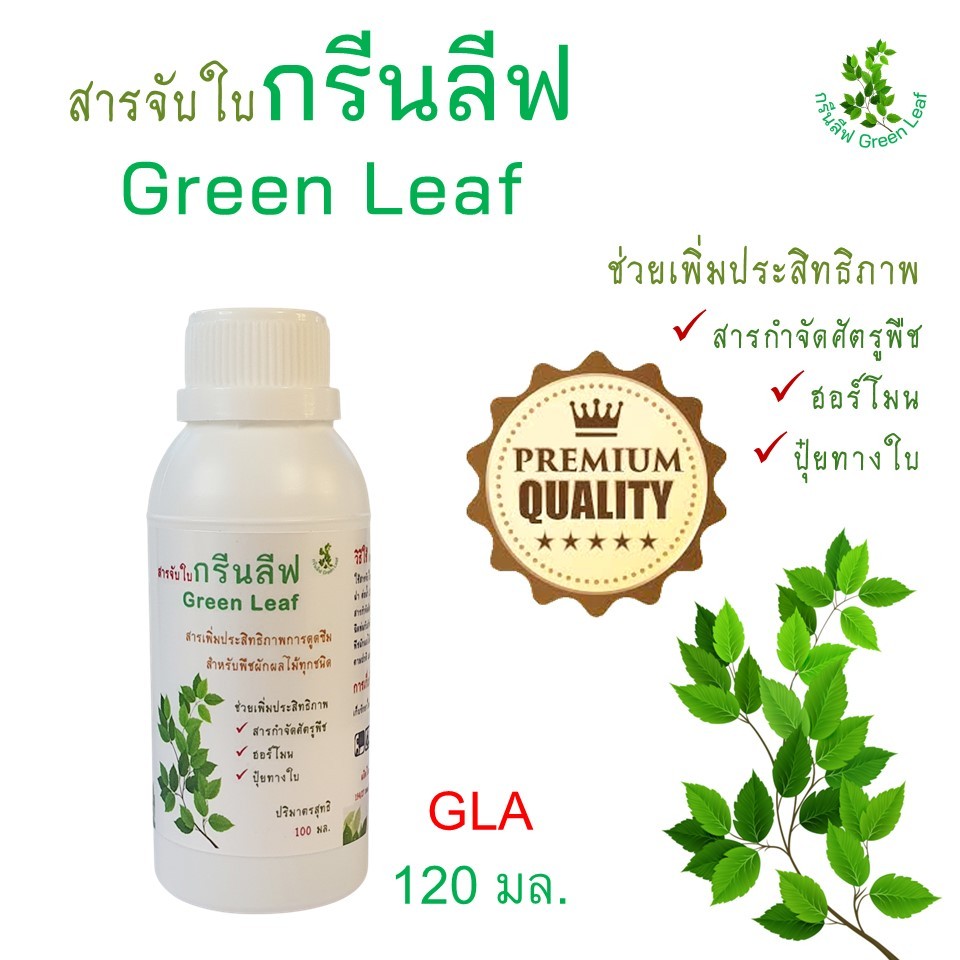 สารจับใบ GLa กรีนลีฟ สารเพิ่มประสิทธิภาพการดูดซึม ยึดเกาะ ประหยัดปุ๋ย ฮอร์โมน สารกำจัดแมลง ขนาด 120 ซี.ซี.