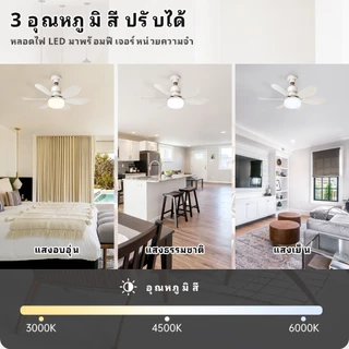 Hitel พัดลมเพดานขนาด 52 ซม. พัดลม ABS คุณภาพสูง พัดลมเพดาน LED โครงอะคริลิก มอเตอร์ DC 3 สปีด ฟังก์ชันย้อนกลับ/ตั้งเวลา