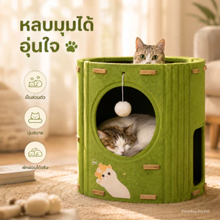 😺บ้านแมว คอนโดแมว บ้านมีรู 2ชั้น 3ชั้น คอนโดแมวทรงกระบอกดีไซน์ญี่ปุ่น แข็งแรงทนทาน สามารถปีนได้