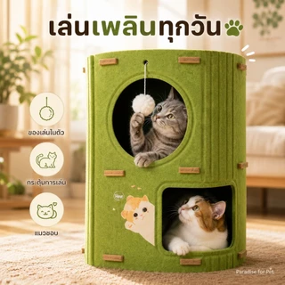 😺บ้านแมว คอนโดแมว บ้านมีรู 2ชั้น 3ชั้น คอนโดแมวทรงกระบอกดีไซน์ญี่ปุ่น แข็งแรงทนทาน สามารถปีนได้