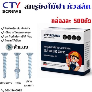 CTY สกรู สกรูไม้ฝา หัวเตเปอร์ มีปีก ไม่มีปีก ปลายสว่าน ปลายแหลมผ่า (500ตัวยกกล่อง) สกรูหัวสลัก