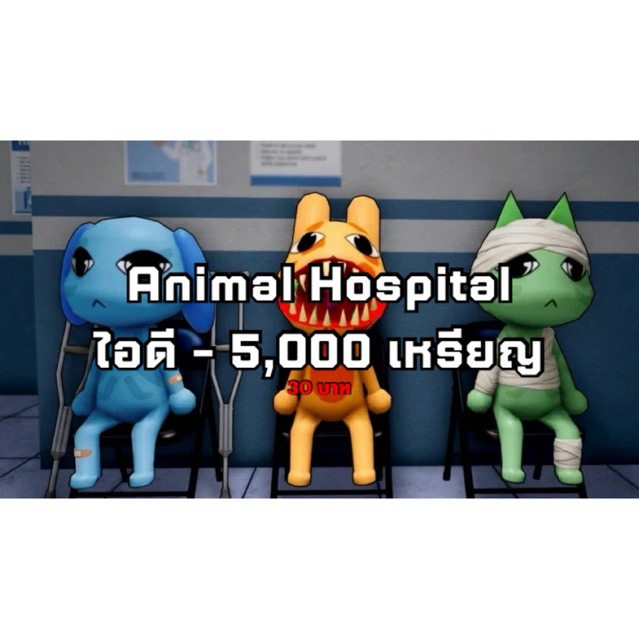 Animal Hospital Account with 5,000 coins