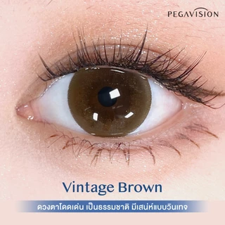 PEGAVISION คอนแทคเลนส์สี รายวัน รุ่น DENIM สี Vintage Brown (10 เลนส์/กล่อง)
