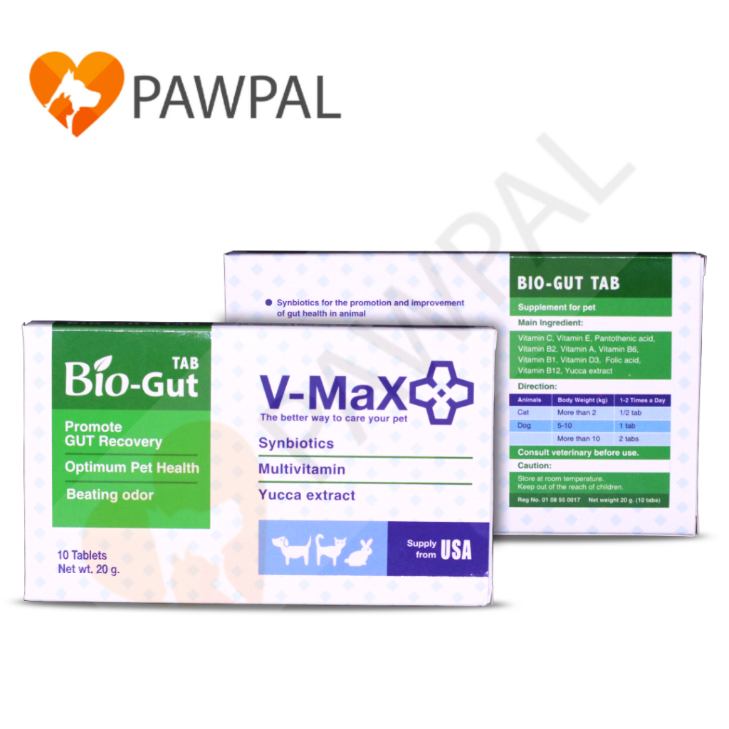 V-max Bio-Gut บรรจุ 10 เม็ด🔥Exp.12/2027 Biogut ไบโอกัส อาหารเสริม ปรับสมดุลทางเดินอาหารอาหาร ท้องเสี