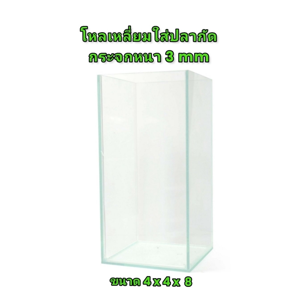 โหลใส่ปลากัดเหลี่ยมใส่ปลากัดโหลเลี้ยงปลากัดขนาด 4 x 4 x 8 กระจกหนา 3 มม โหลใส่ terrarium เทอร์รี่เรี