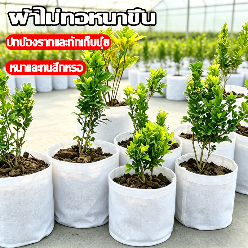 รากไม่เน่า100% ถุงปลูก ถุงปลูกต้นไม้ ถุงเพาะปลูก แข็งแรงทนทาน เก็บชื้นและปุ๋ย ระบายน้ำดี