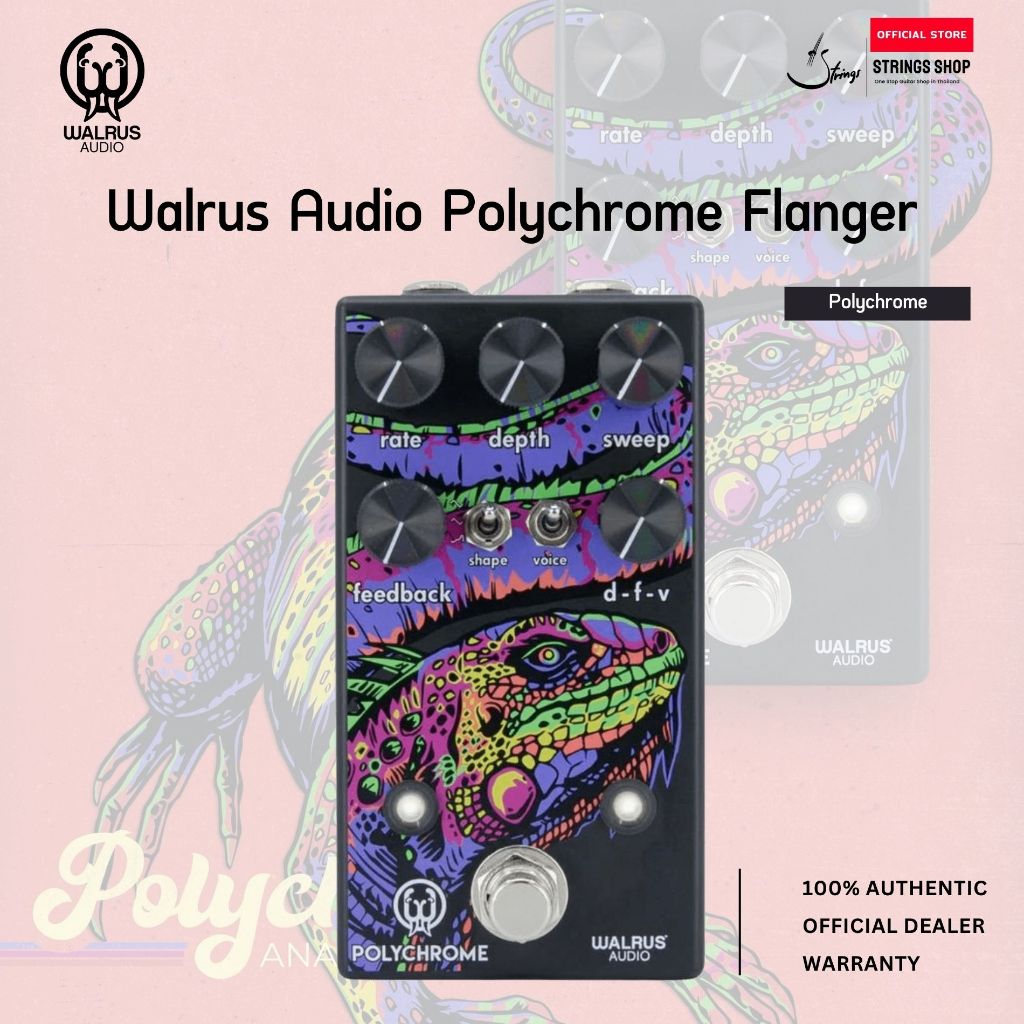 Walrus Audio Polychrome Flanger เอฟเฟคกีตาร์ Analog Flanger