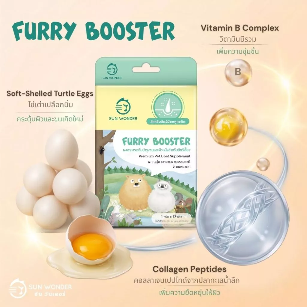 (1 กล่อง/12 ซอง) SUN WONDER FURRY BOOSTER อาหารเสริมบำรุงขนและผิวหนังสำหรับสัตว์เลี้ยง thumbnail 6