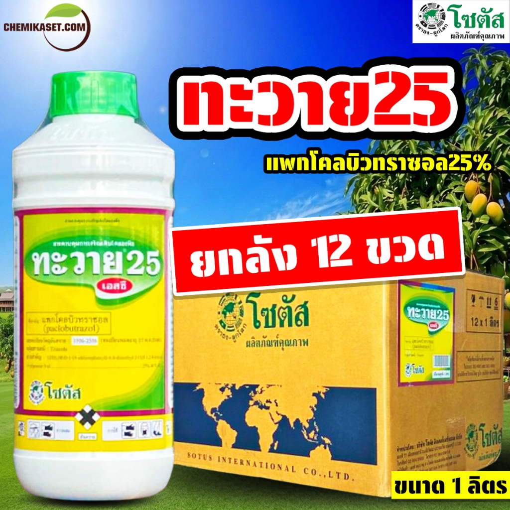 (ยกลัง12ขวด) ทะวาย25 ขนาด 1 ลิตร สารกระตุ้นการออกดอกนอกฤดู ได้ทั้งไม้ดอกไม้ผล เหมาะกับมะม่วง ทุเรียน