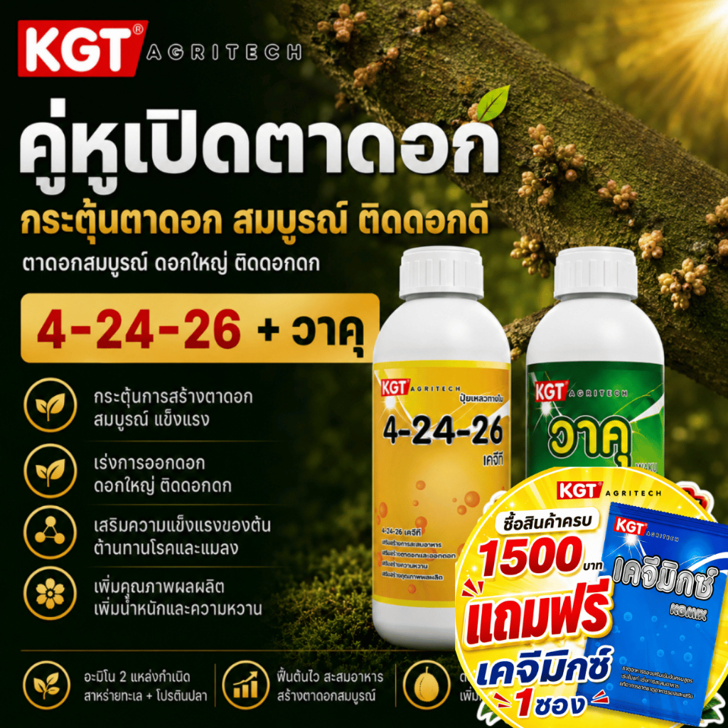 KGT Duo คู่หูเปิดตาดอก 4-24-26 + วาคุ สะสมอาหาร เตรียมต้นก่อนทำดอก ขนาด 1 ลิตร x 2