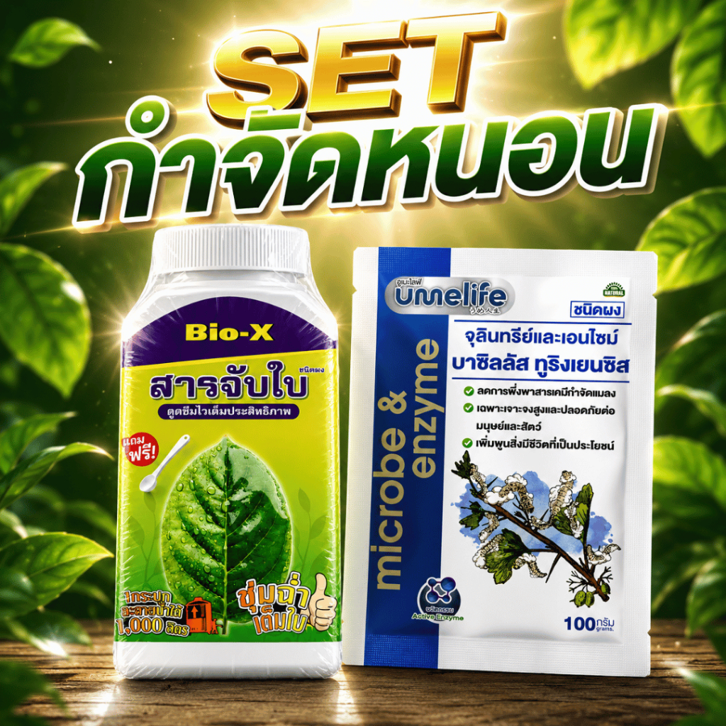 SET กำจัดหนอน ครบจบในชุดเดียว | BT + สารจับใบ Bio-X | ฆ่าหนอนเร็ว เห็นผล 1–3 วัน เกาะใบดี ไม่หลุดฝน