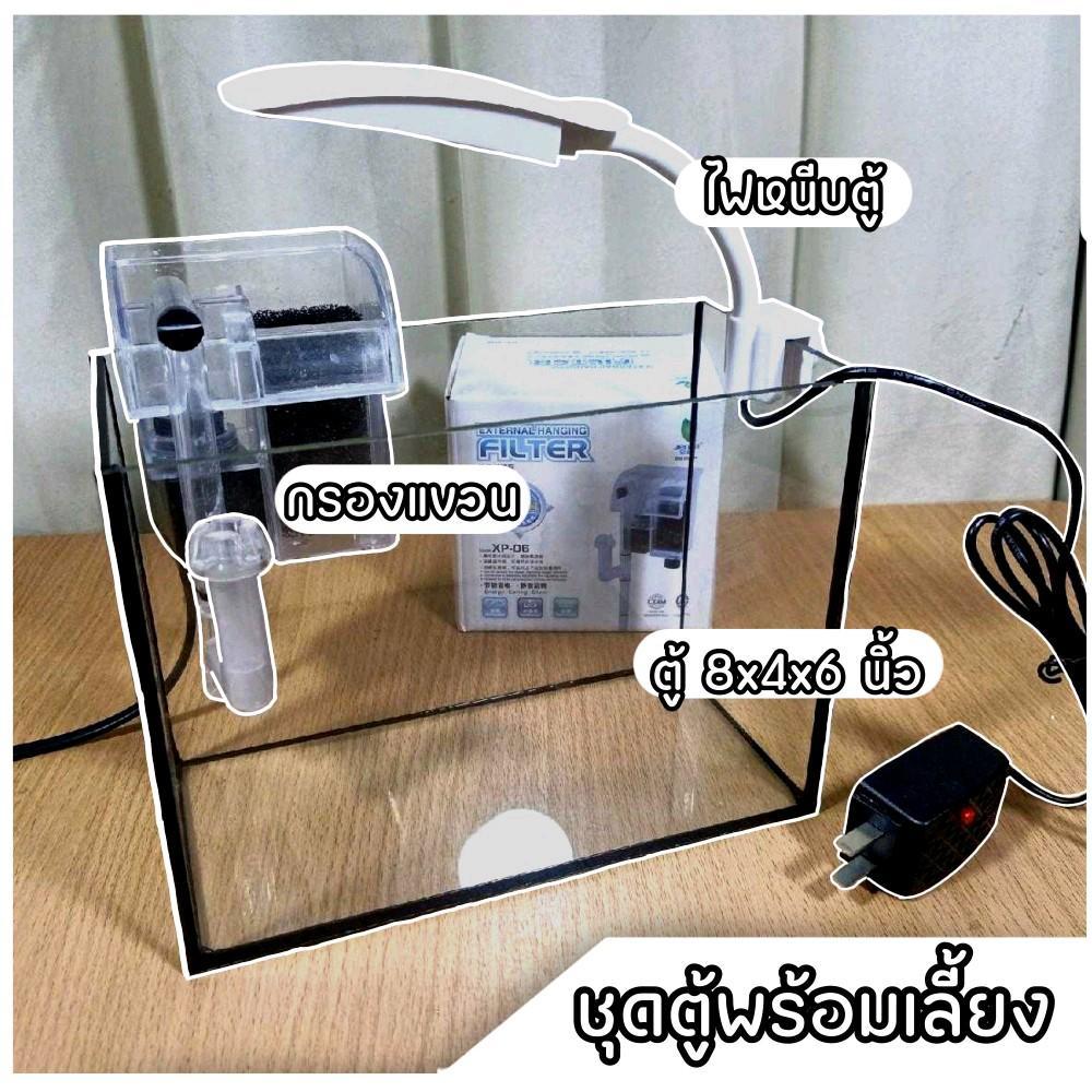ชุดพร้อมเลี้ยงตู้ปลา 8x4x6 นิ้ว พร้อมกรองแขวน และไฟตู้