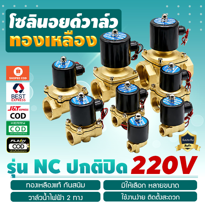 Solenoid valve โซลินอยด์วาล์วทองเหลือง วาล์วไฟฟ้า วาล์วน้ำ วาล์วลม วาล์วแก๊ส 220V 4หุน 6หุน 3หุน เจ๊ตุ่ม