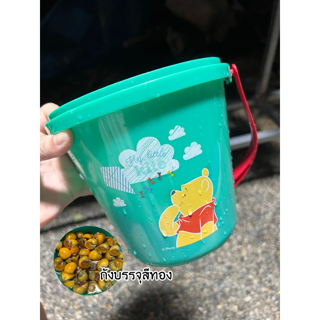 เหยื่ออาหารปลากินเนื้อ