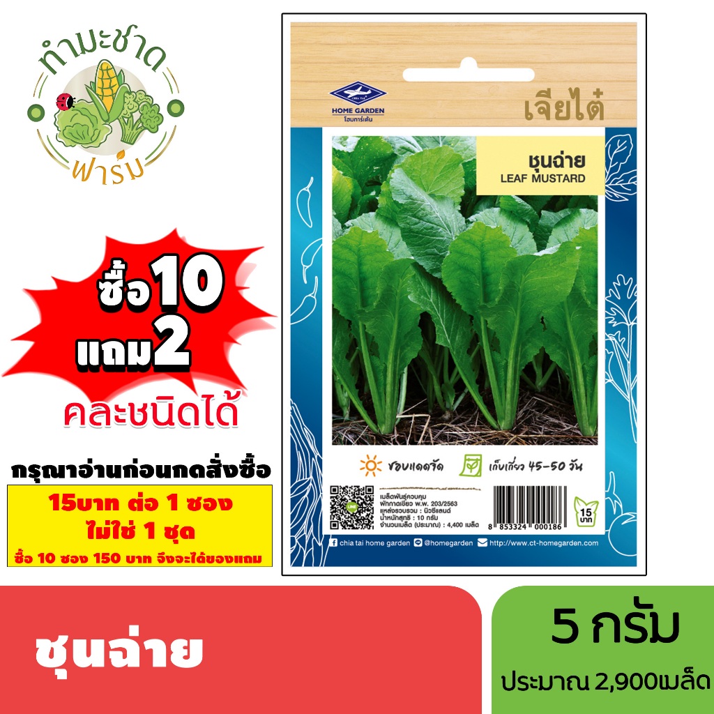 [1ซอง] เจียไต๋ (ซื้อ10แถม2) เมล็ดพันธุ์ ชุนฉ่าย ขนาด5กรัม ประมาณ2,900เมล็ด Leaf Mustard ผักโขมจีน เมล็ดพันธุ์พืช เมล็ดผั