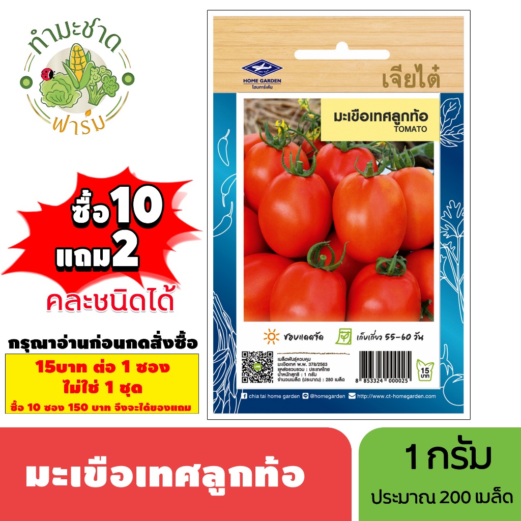 [1ซอง] เจียไต๋ (ซื้อ10แถม2) เมล็ดพันธุ์ มะเขือเทศลูกท้อ ขนาด1กรัม ประมาณ280เมล็ด Tomato มะเขือเทศ เมล็ดพันธุ์พืช เมล็ดผั