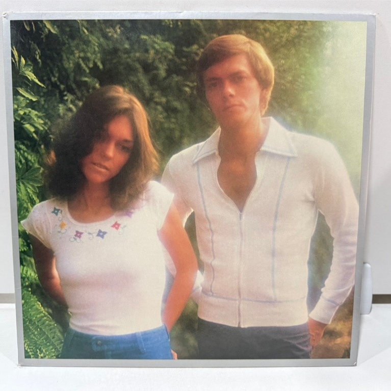 1LP Vinyl Records แผ่นเสียงไวนิล  Carpenters - Horizon : Inspired by LnwShop.com (v2)   (E17C48)