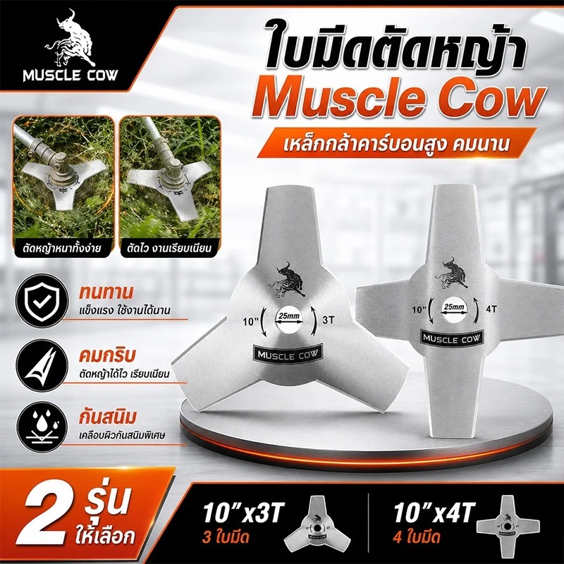ใบตัดหญ้า 3ฟัน และ 4ฟัน 10" MUSCLE COW รุ่นหนา 1.6มิล ใบมีดตัดหญ้า 3 ซี่ ทนทาน สําหรับ ตัดหญ้า สวน