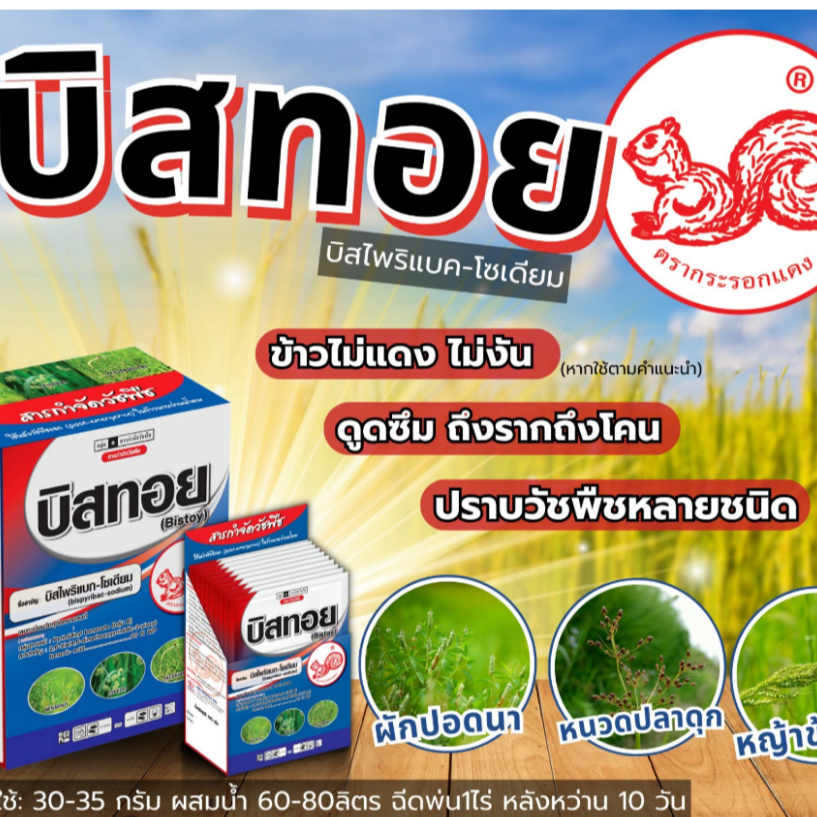 บิสทอย กระรอกแดง 100กรัม บิสไพริแบค-โซเดียม กำจัดวัชพืช ออกฤทธิ์ยับยั้งการเจริญเติบโตของวัชพืช ใช้หลังวัชพืชงอกในนาข้าว