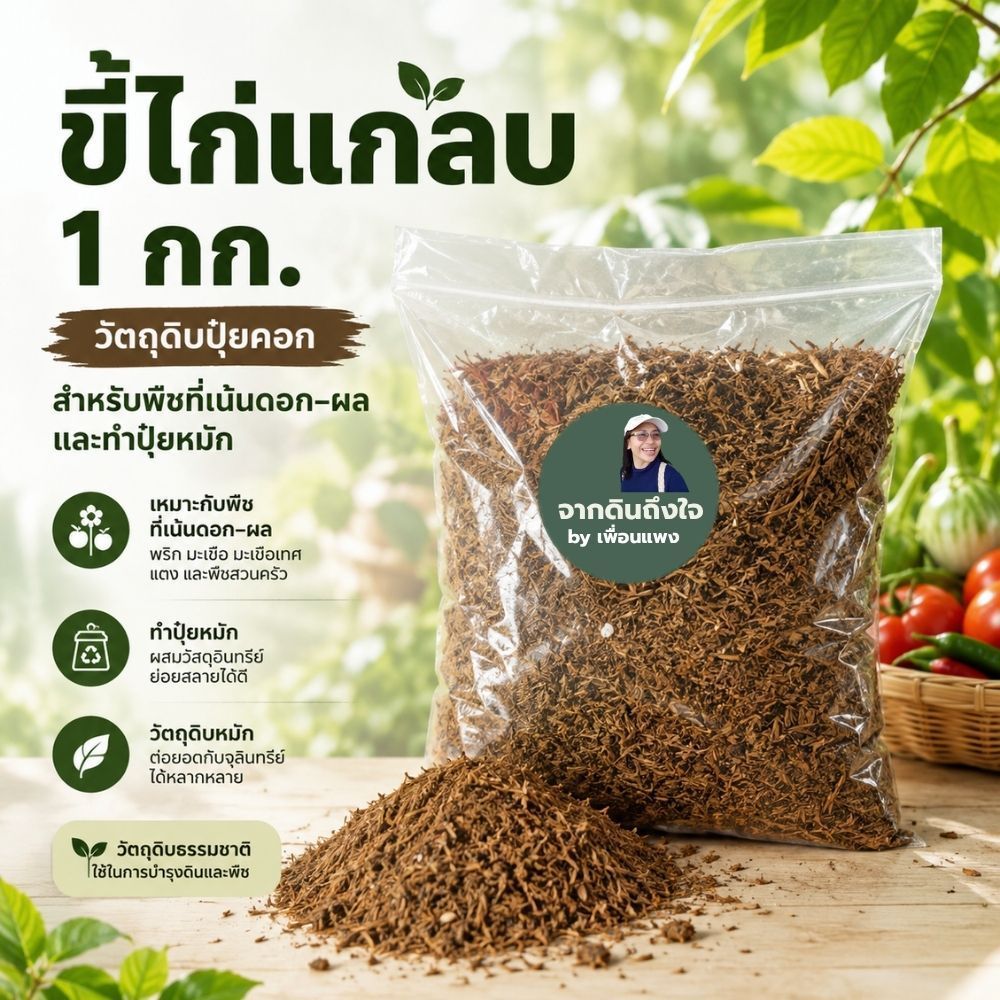 ขี้ไก่แกลบแห้ง 1 กก. ปุ๋ยคอกธรรมชาติ สำหรับพริก มะเขือ มะเขือเทศ ทำปุ๋ยหมัก หมักจุลินทรีย์
