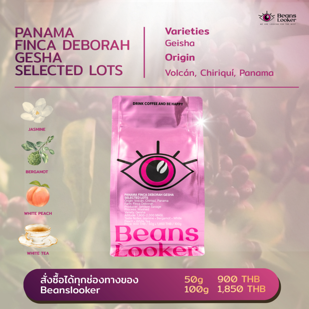 เมล็ดกาแฟ Panama Gesha Finca Deborah Selected Lots | Specialty Coffee เกอิชา ปานามา คั่วอ่อน