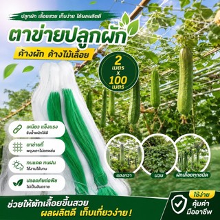 YP-393  ปลูกผัก ค้างผัก 2*100m ตาข่ายปลูกผัก โครงไม้เลื้อย ค้างไม้เลื้อย ตะข่ายไนลอน ต้นไม้เลื้อย ตาข่ายปลูกแตง อวนแตง ก