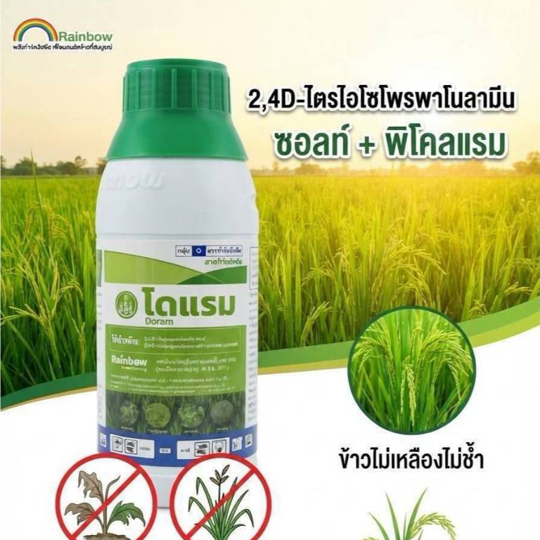 โดแรม ใช้กำจัดวัชพืชในนาข้าว ชนิดดูดซึม กำจัดประเภทใบกว้าง และวัชพืชตระกูลกก พร้อมส่ง