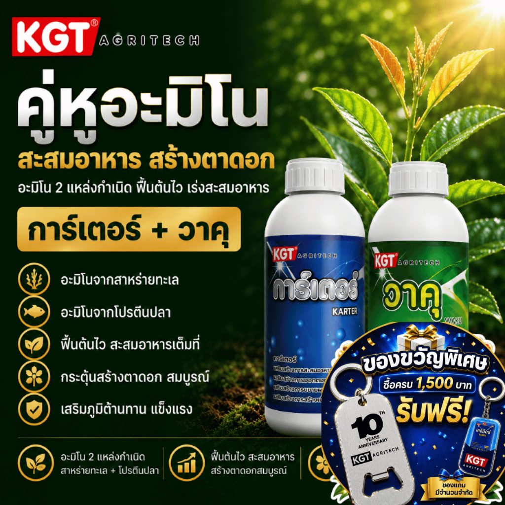 KGT Duo คู่หูอะมิโน การ์เตอร์ + วาคุ เพิ่มพลังงาน ฟื้นต้น ลดความเครียด ขนาด 1 ลิตร x 2