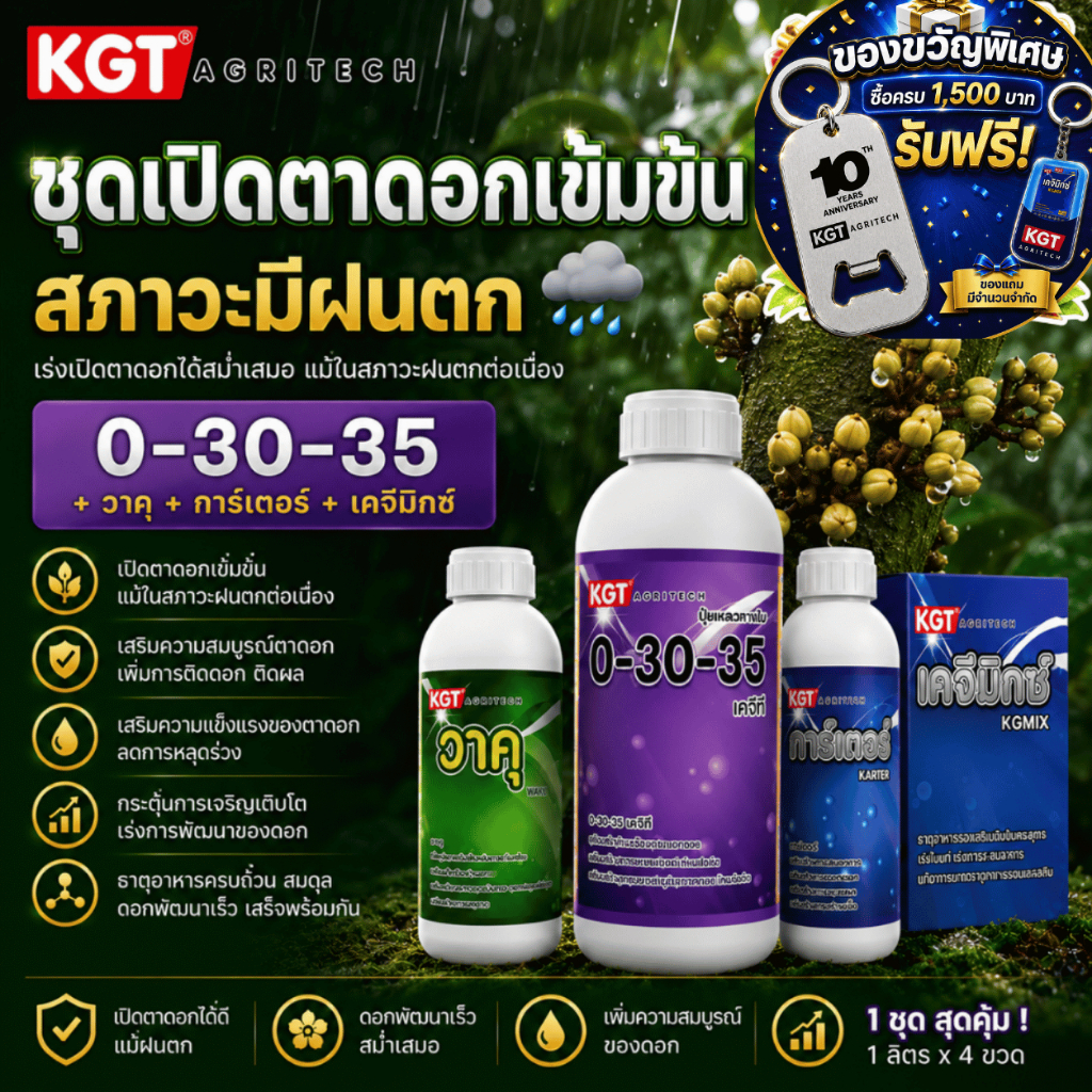 KGT ชุดเปิดตาดอกเข้มข้นในสภาวะฝนตก สะสมอาหาร กระตุ้นตาดอก ทำดอกทุเรียน 0-30-35 + วาคุ + การ์เตอร์ + 