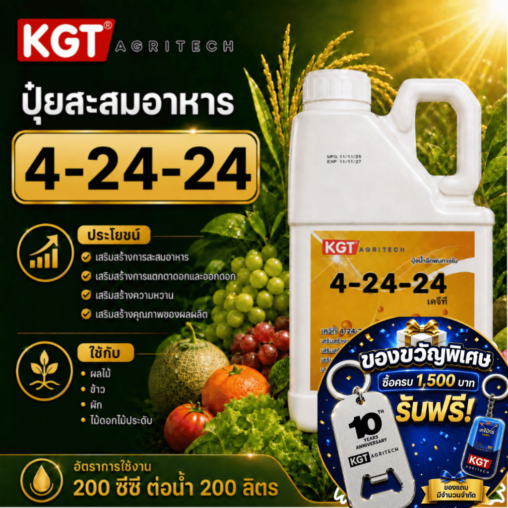 KGT ปุ๋ยสะสมอาหาร 4-24-24 สะสมอาหาร เตรียมออกดอก ปุ๋ยเหลว ขนาด 5 ลิตร