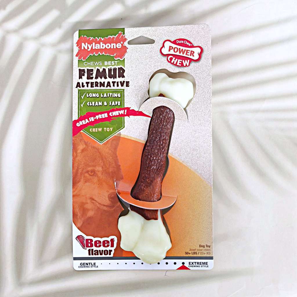 [Nylabone®] Femur Alternative Bone Chew Toy Beef Flavor  ของเล่นเคี้ยว สำหรับสุนัข