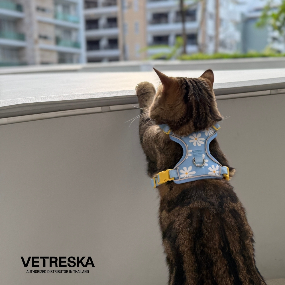 VETRESKA طقم صدرية ومقود بنقش أقحوان — صورة 2