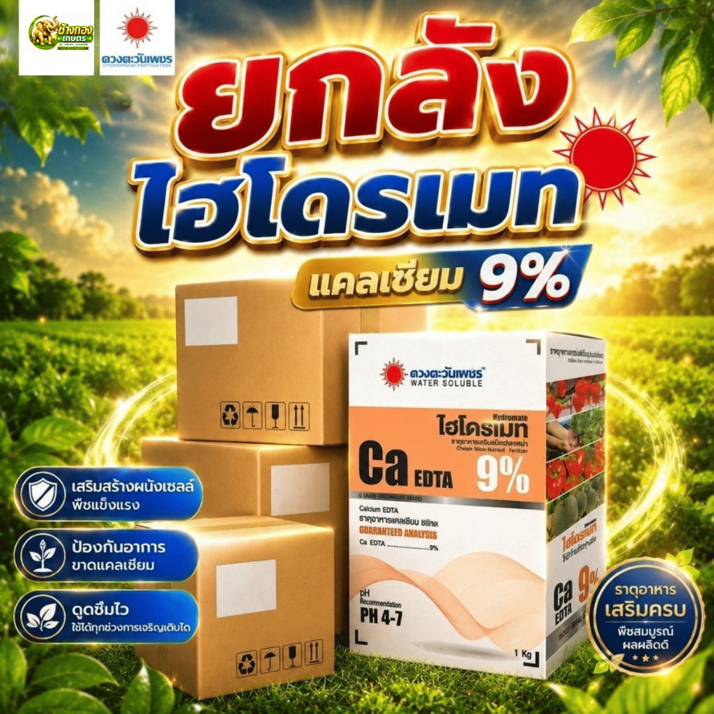 (ยกลัง1kg*10) แคลเซียม Ca EDTA 9% 1kg (ดวงตะวันเพชร)